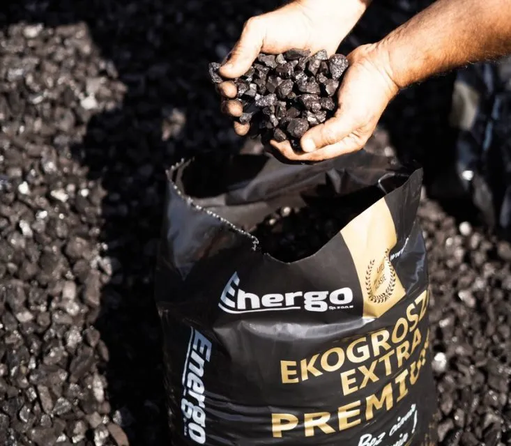 Czy warto zdecydować się na zakup ekogroszku premium?