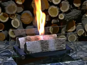 Bio-kominek, ekologiczna ozdoba nowoczesnego salonu