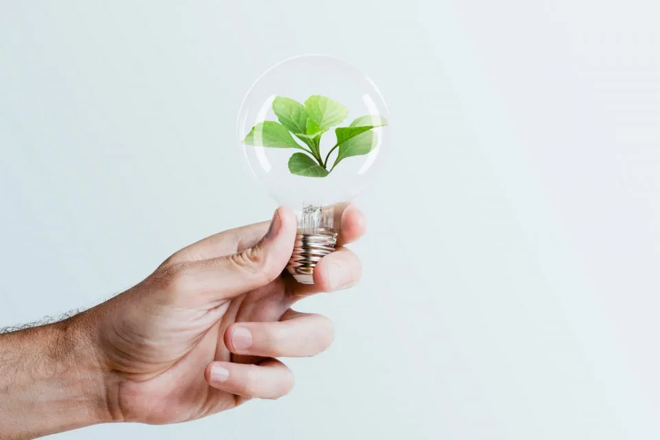Ekologiczna energia na miarę XXI wieku. Jak dziś pozyskiwać energię?